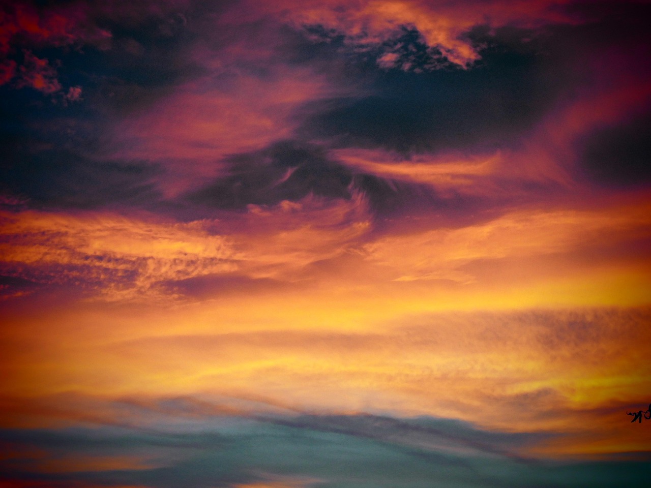 梦之城辽宁离岸公司注册代理