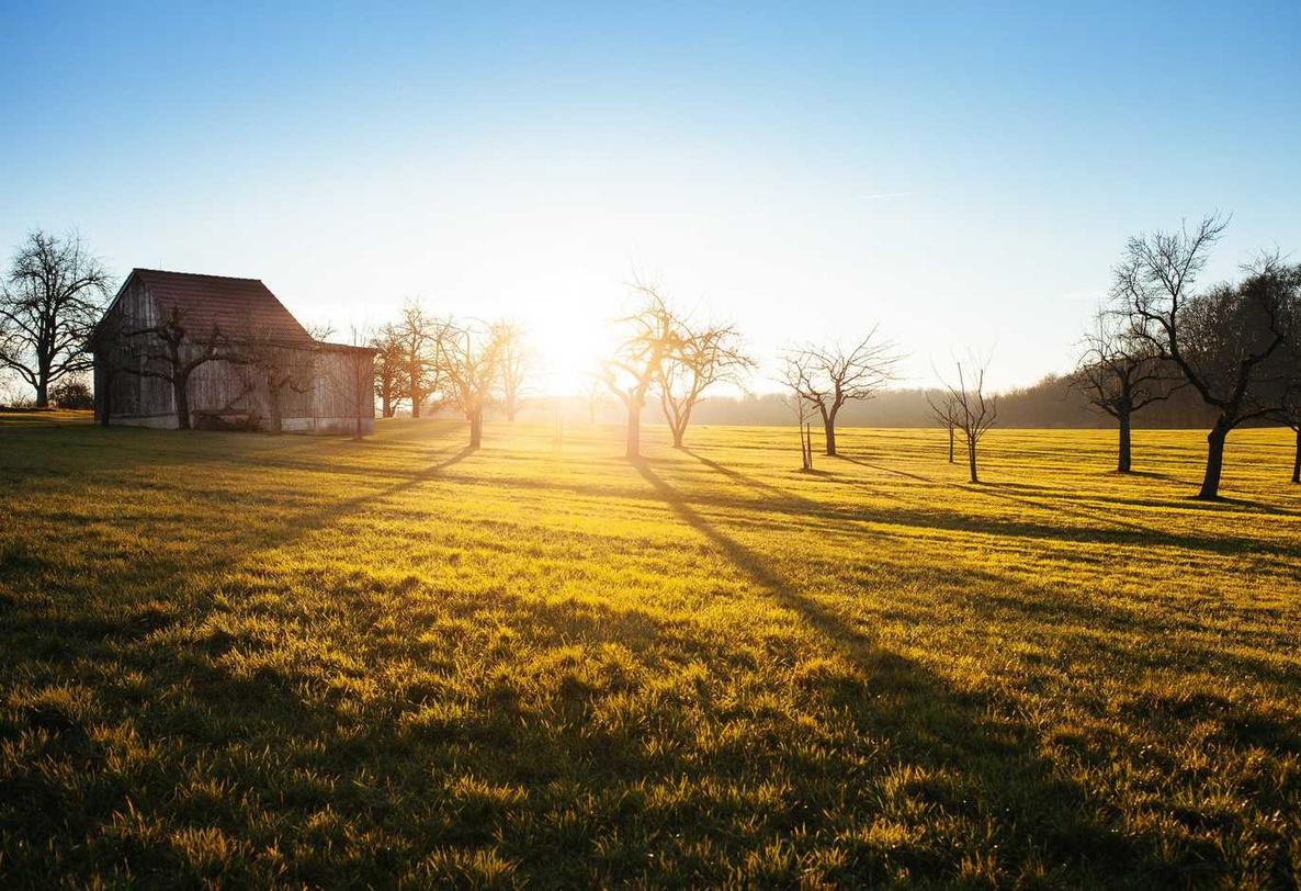 铁盒柔和七星蓝莓爆珠：电商平台代理安全防护