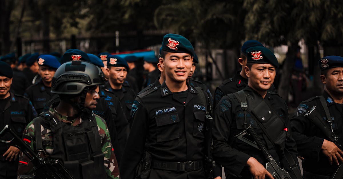 成吉思汗2：官网芯片购买平台