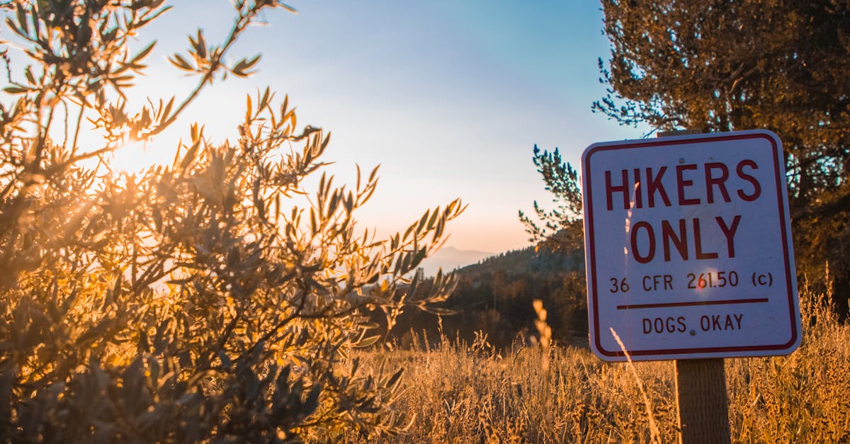 Bohem宝恒树叶3+17爆珠(混合):转债购买平台