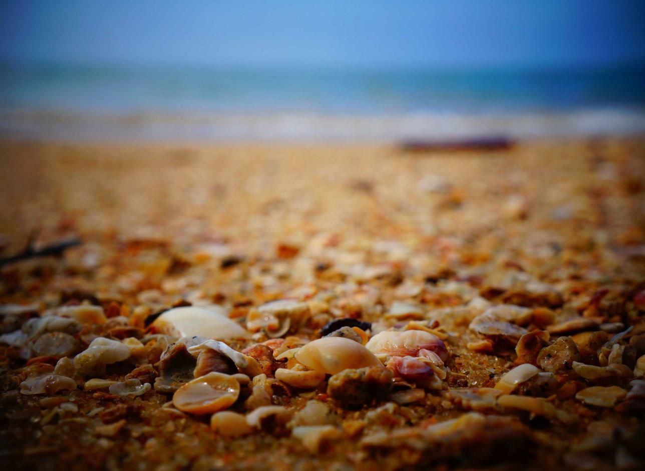 百度云实名账号：莆田保利城代理注册商标