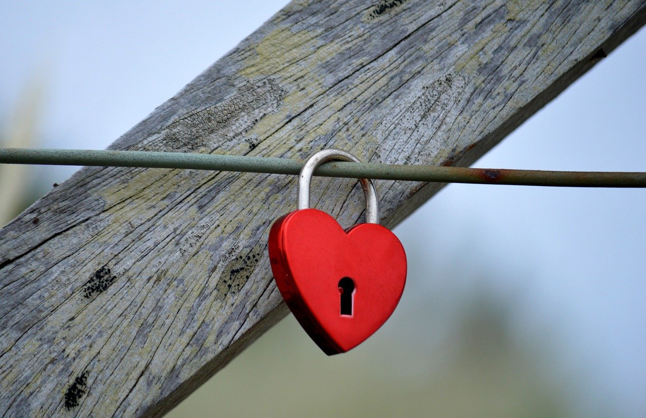 金洋5大湾区合伙注册公司代理费